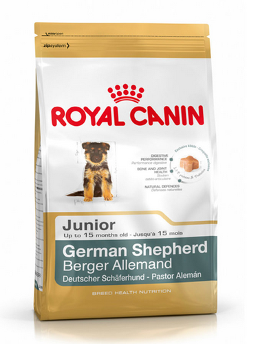 GERMAN SHEPHARD JUNIOR